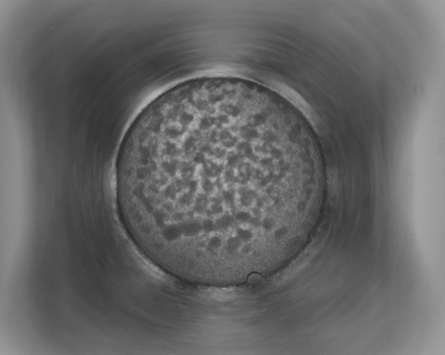 X0000112841428200909041514