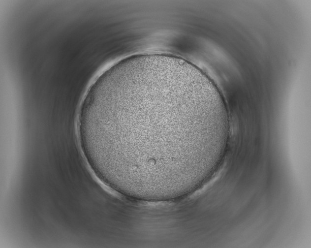 X0000112841429200909041514