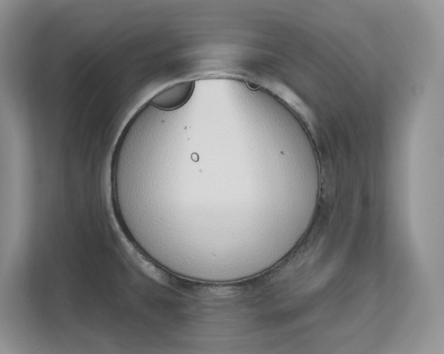 X0000112841431200909041514