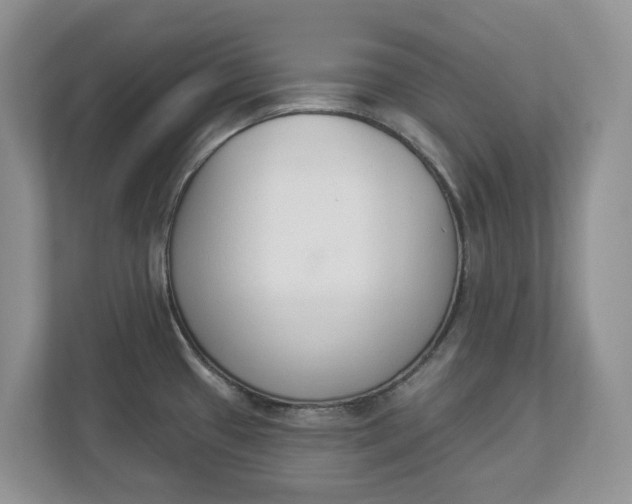 X0000112841433200909041514