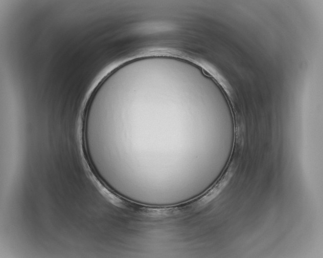 X0000112841438200909041514