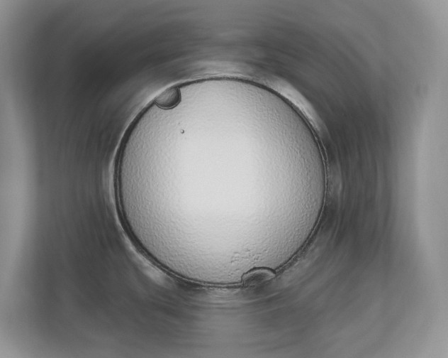 X0000112841439200909041514