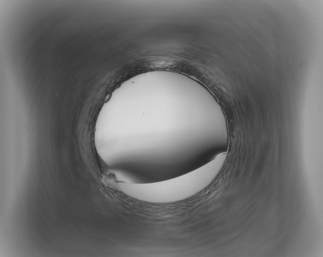 X0000112841441200909041513