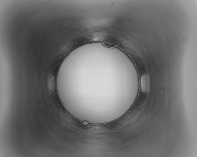 X0000112841443200909041513