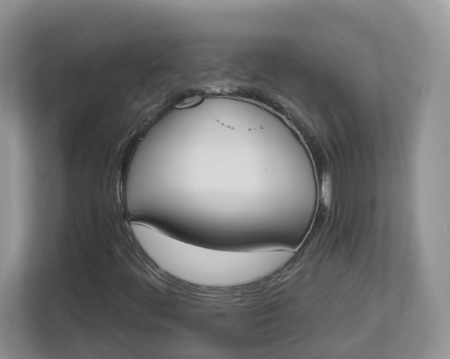 X0000112841444200909041513