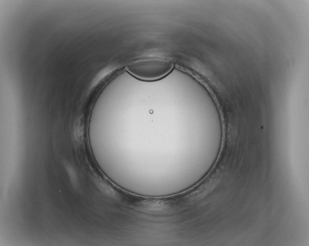 X0000112841450200909041513