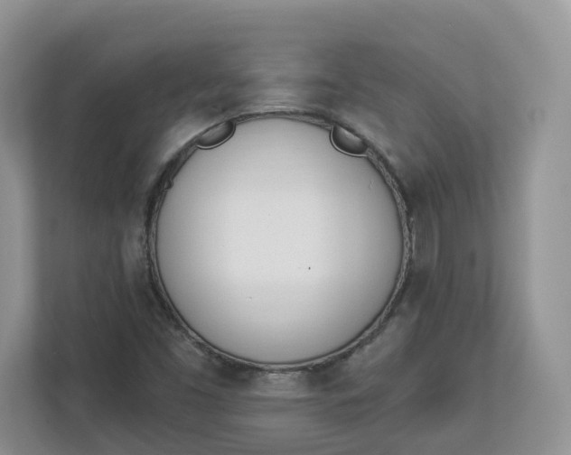 X0000112841453200909041513