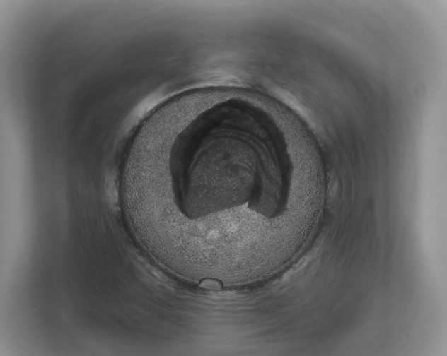 X0000112841455200909041513