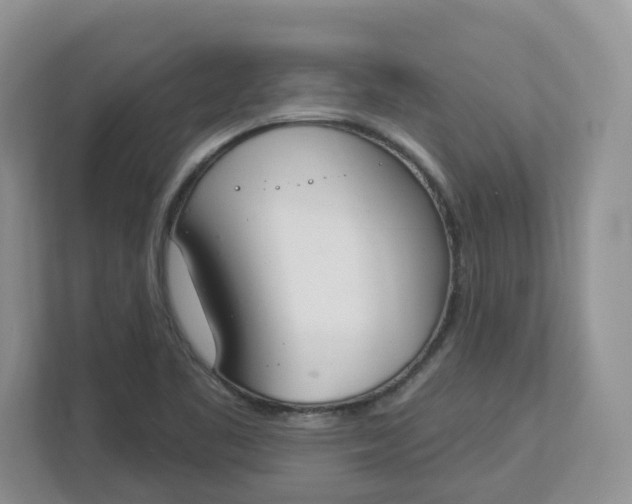 X0000112841461200909041513