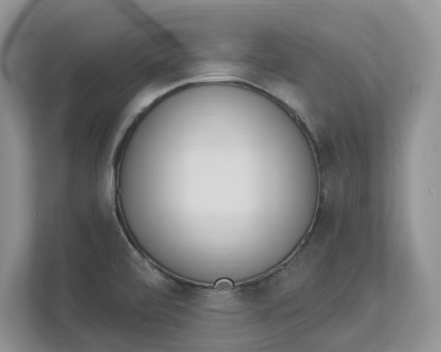 X0000112841472200909041513