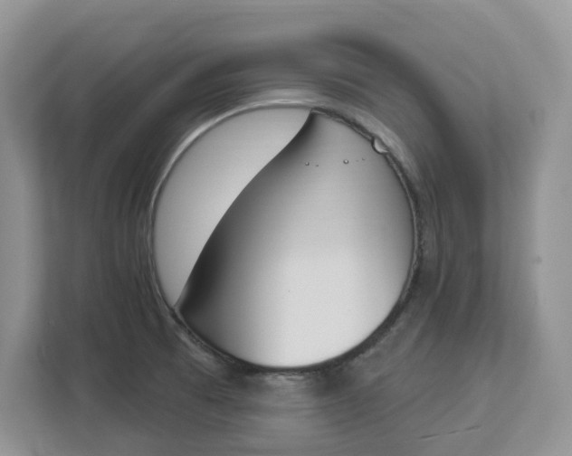 X0000112841473200909041513