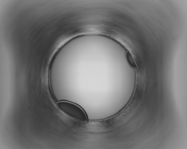 X0000112841477200909041513