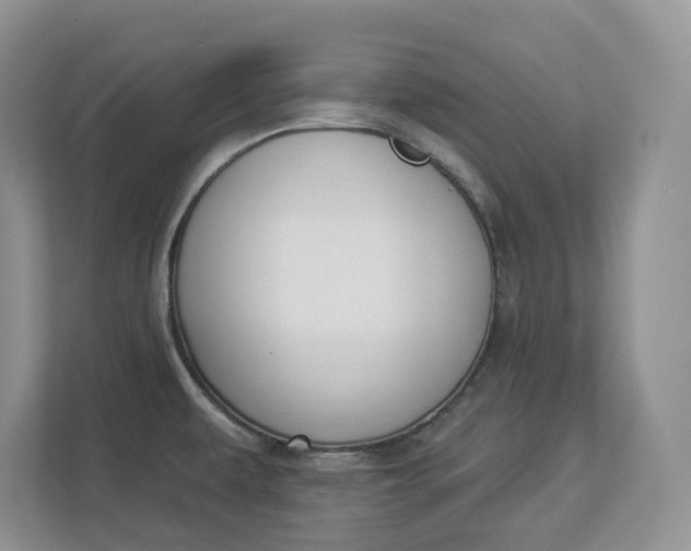 X0000112841479200909041513