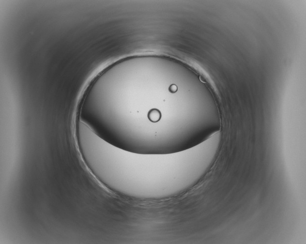 X0000112841480200909041513