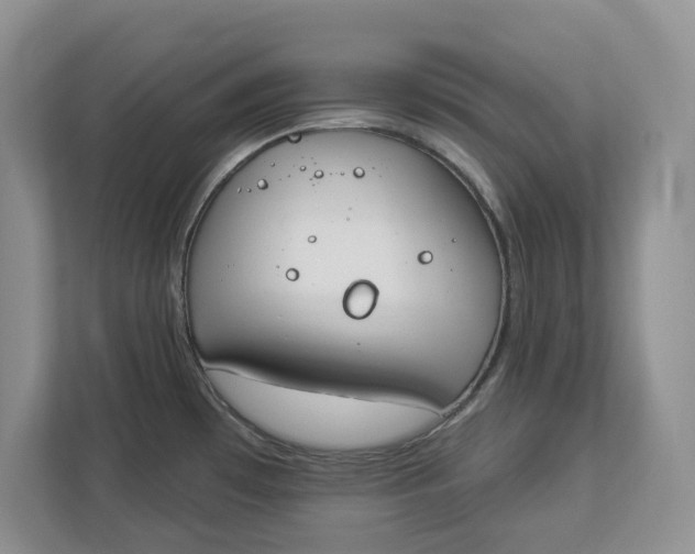 X0000112841481200909041513