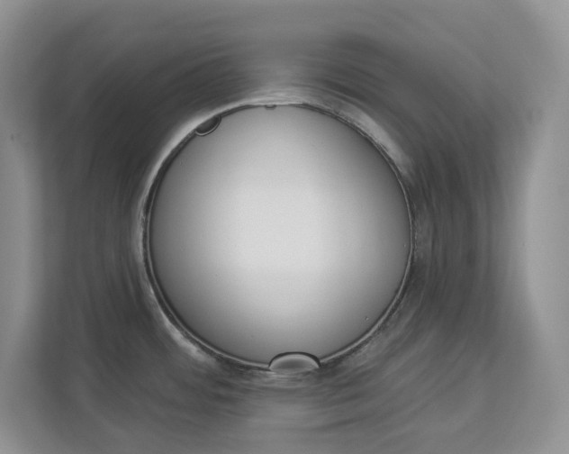 X0000112841484200909041513