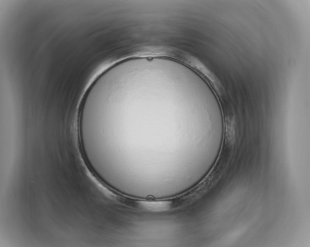 X0000112841487200909041512