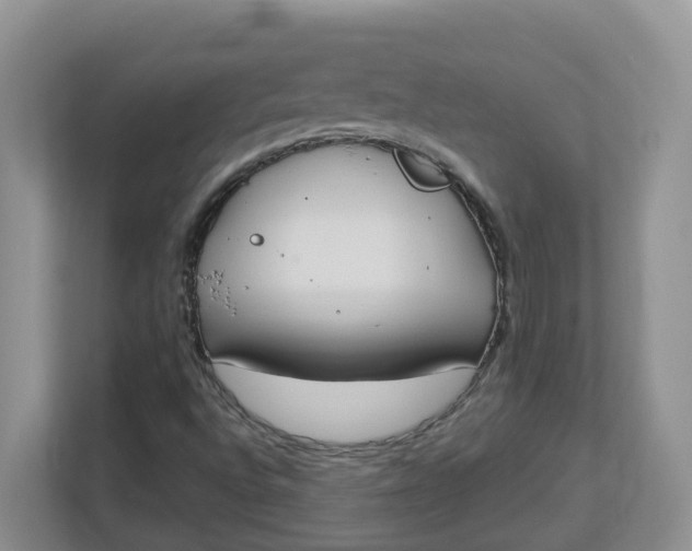 X0000112841496200909041512