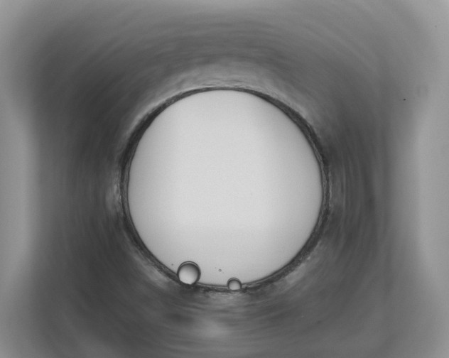 X0000112841498200909041512