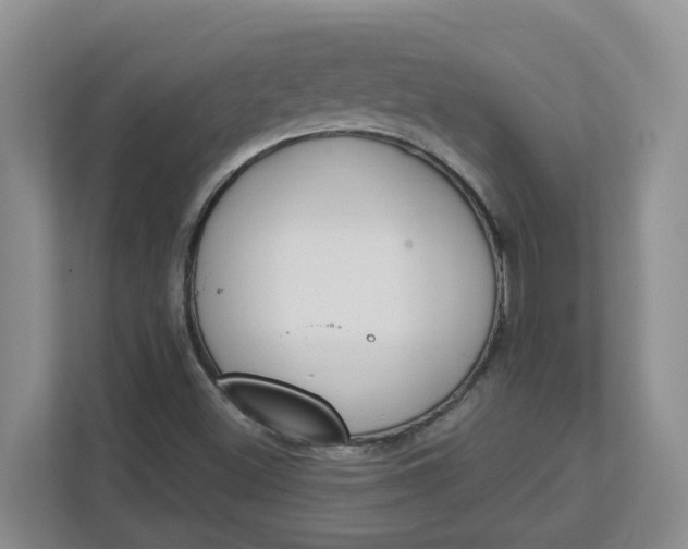 X0000112841500200909041512