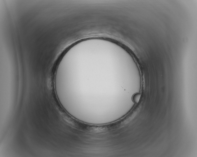 X0000112841501200909041512