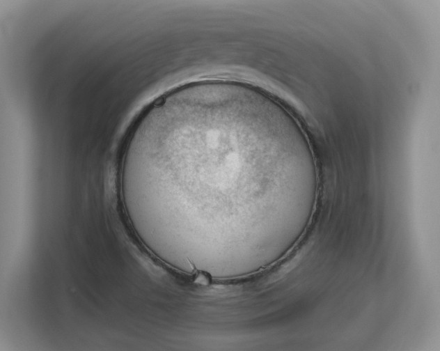 X0000112841506200909041512