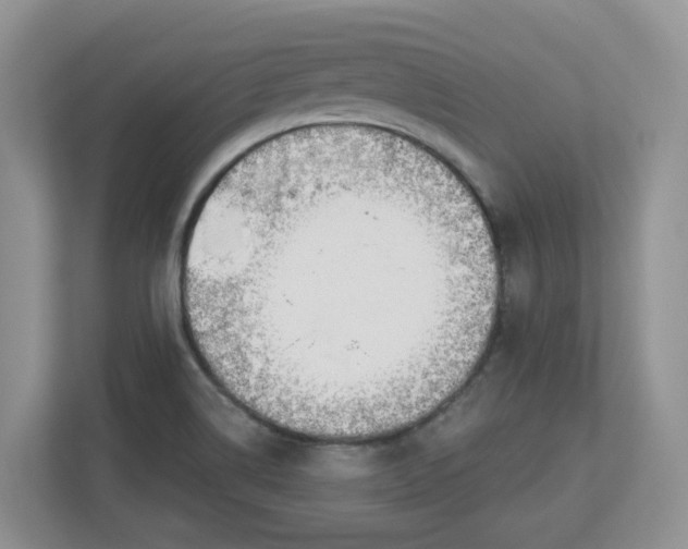 X0000112841514200909041512