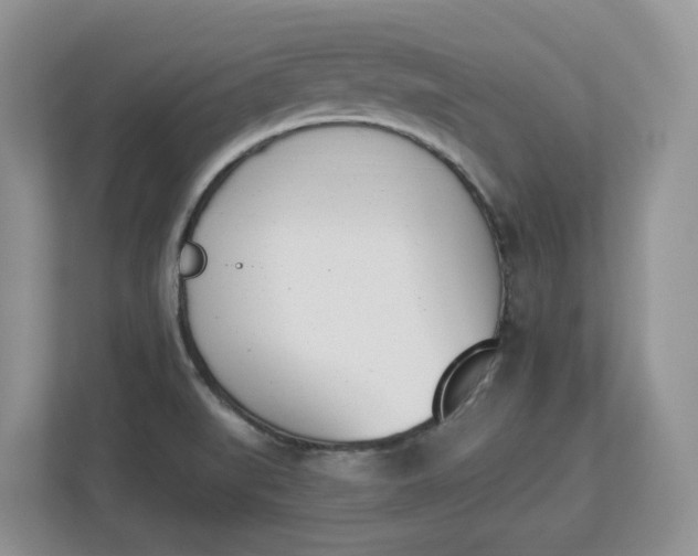 X0000112841519200909041512