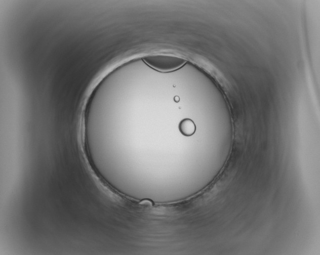 X0000112841520200909041512