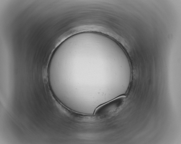 X0000112841521200909041512