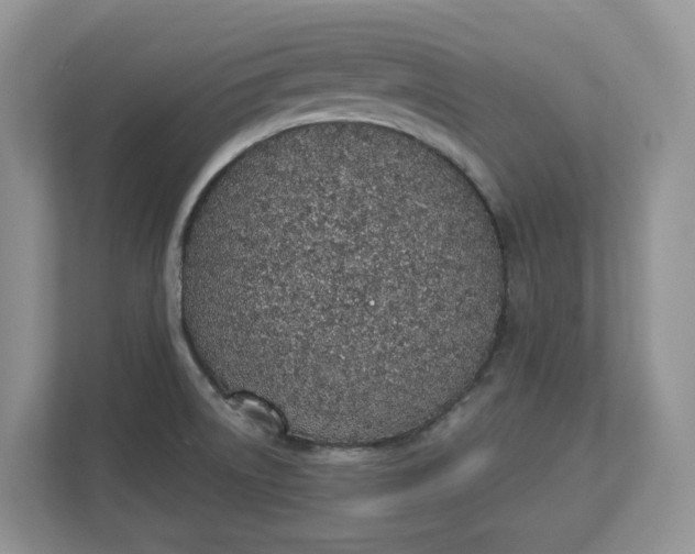 X0000112841522200909041512