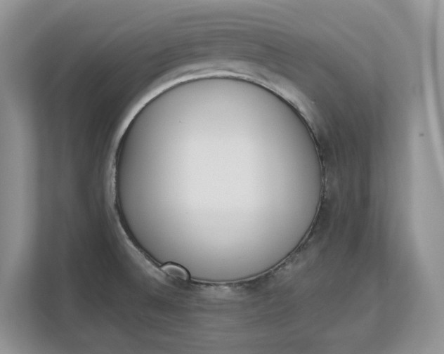 X0000112841524200909041512