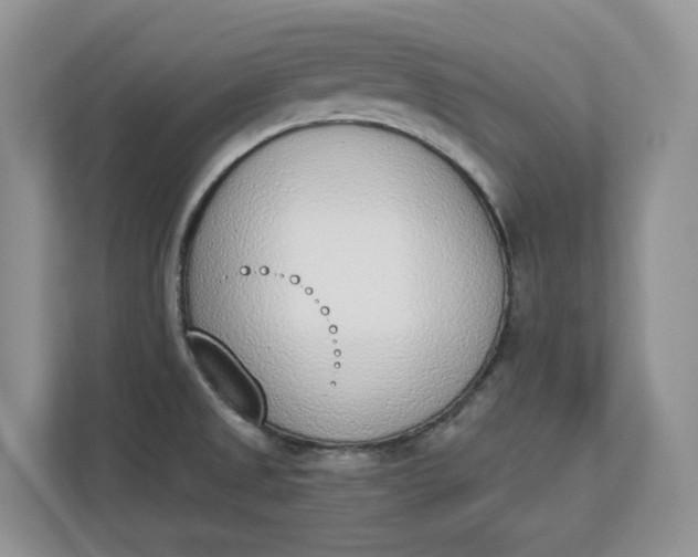 X0000112841525200909041512