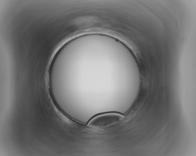 X0000112841527200909041512