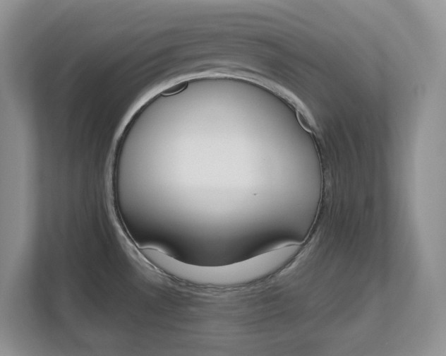 X0000112841530200909041512