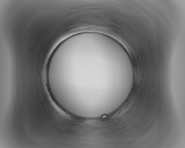 X0000112841531200909041512