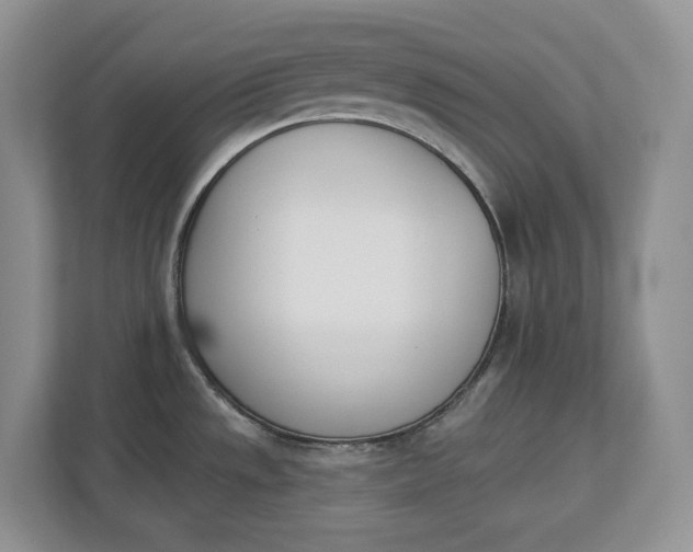 X0000112841533200909041512