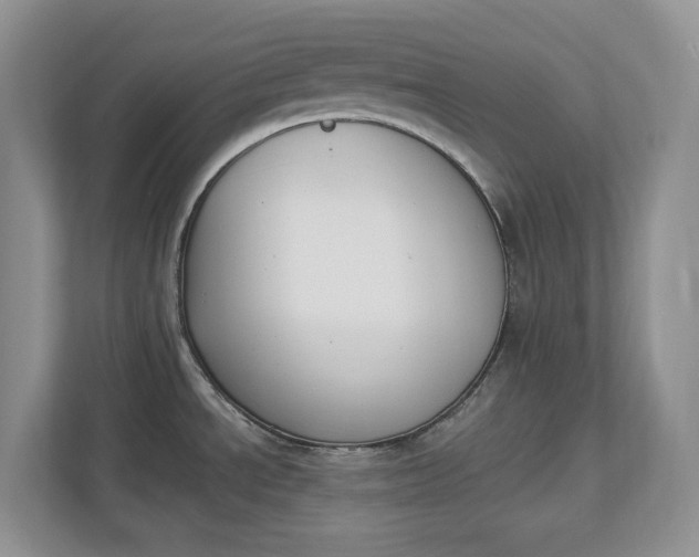 X0000112841534200909041512