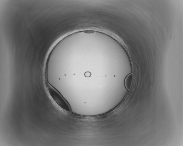 X0000112841536200909041512