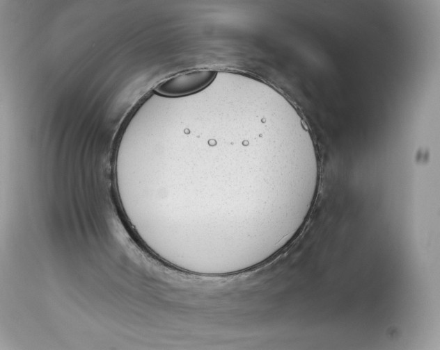 X0000112840002200909111433