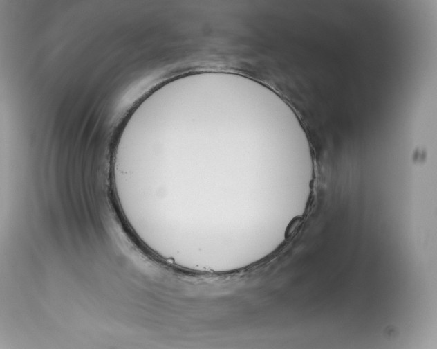 X0000112840005200909111433