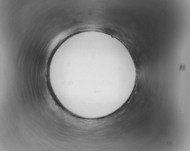 X0000112840006200909111433