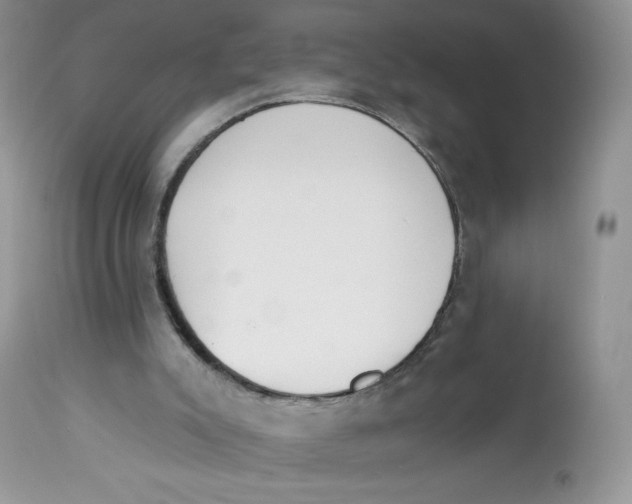 X0000112840007200909111433