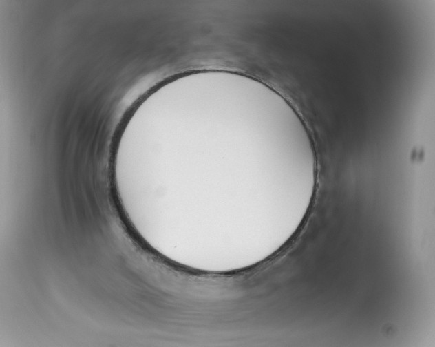 X0000112840008200909111433