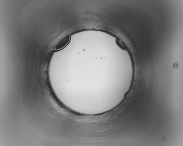 X0000112840009200909111433