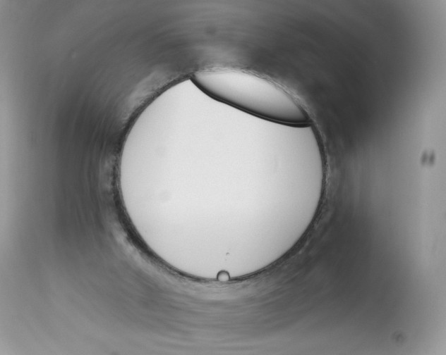 X0000112840010200909111433