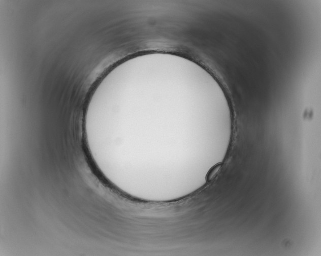 X0000112840011200909111433