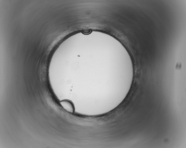 X0000112840012200909111433