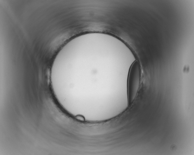 X0000112840013200909111433