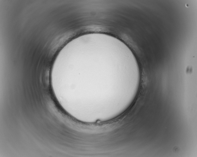 X0000112840014200909111433